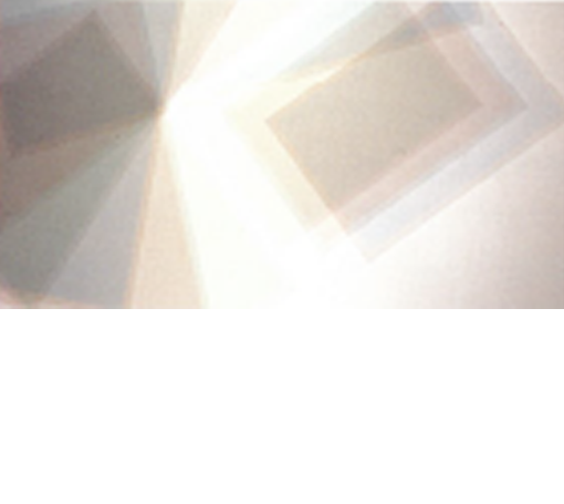 セクションフィルム